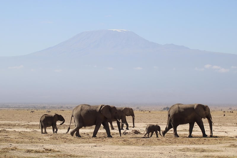 Maasai Tribe in Kenya